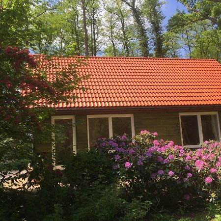 Ferienhof Ohlenbusch Worpswede Esterno foto