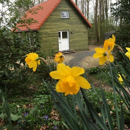 Ferienhof Ohlenbusch Worpswede Esterno foto