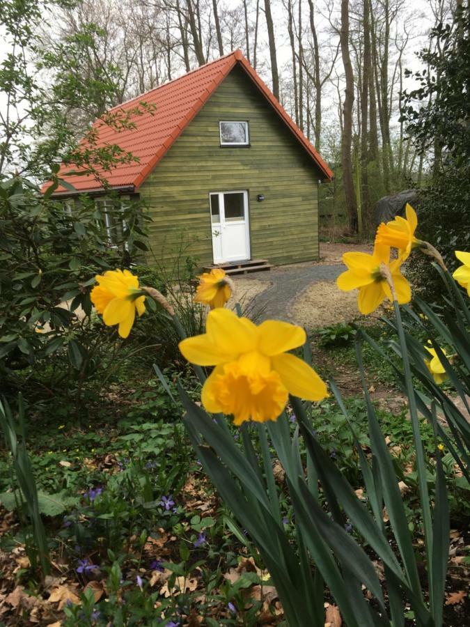 Ferienhof Ohlenbusch Worpswede Esterno foto